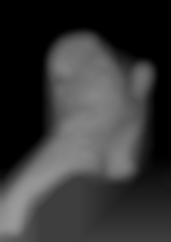 Member Image