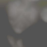 GMTMaster
