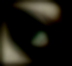 Member Image