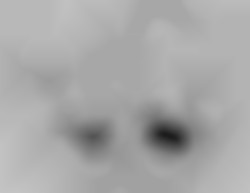Member Image