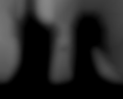 Member Image