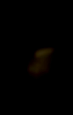 Member Image