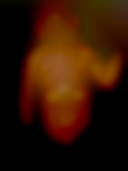 Member Image