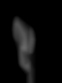 Member Image