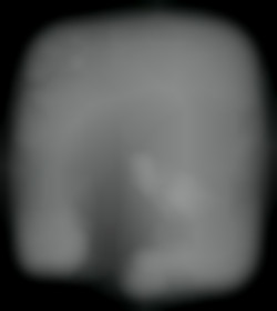 Member Image