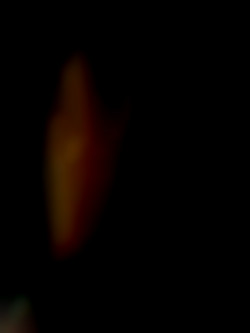 Member Image