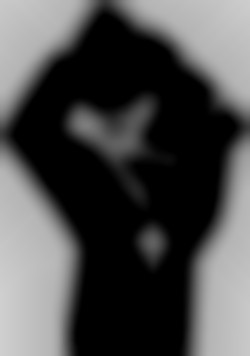 Member Image