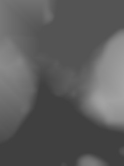 Member Image