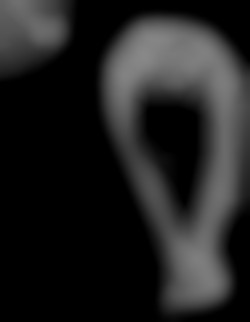 Member Image