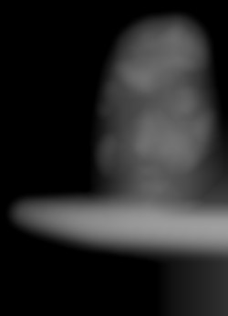 Member Image