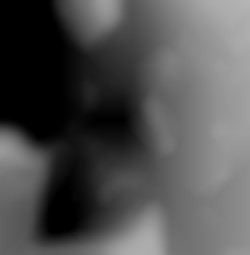 Member Image