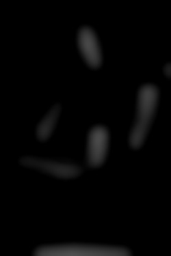 Member Image