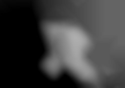 Member Image