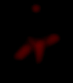 Member Image