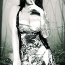 Missrabbit