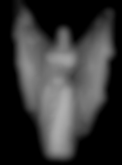 Member Image