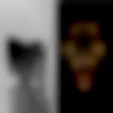 Member Image