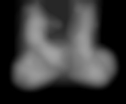 Member Image
