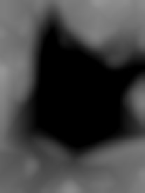 Member Image