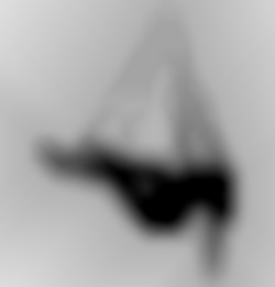 Member Image