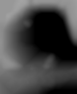 Member Image