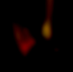 Member Image