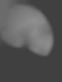 Member Image