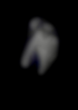 Member Image