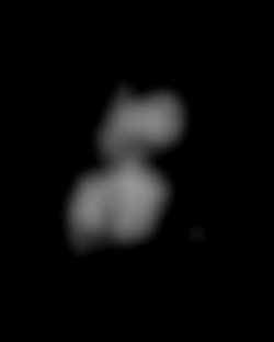 Member Image