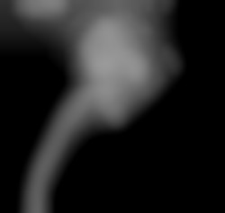 Member Image