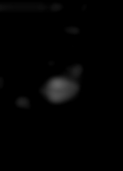 Member Image