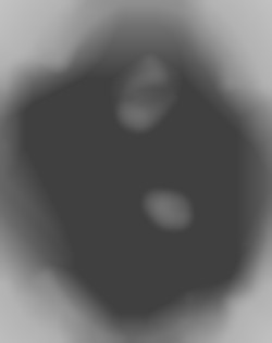 Member Image