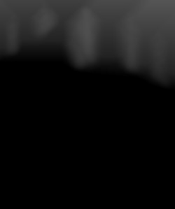 Member Image