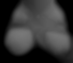Member Image