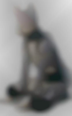 Member Image