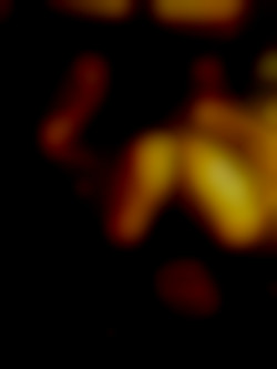 Member Image