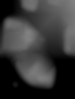 Member Image