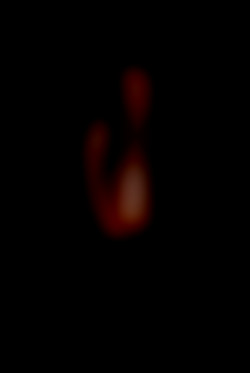 Member Image
