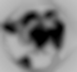 Member Image