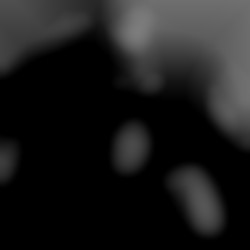Member Image