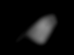 Member Image