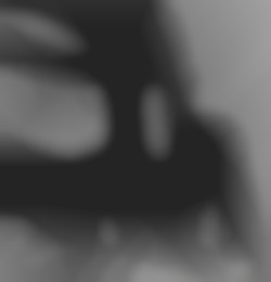 Member Image