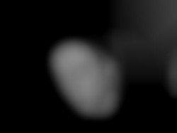 Member Image