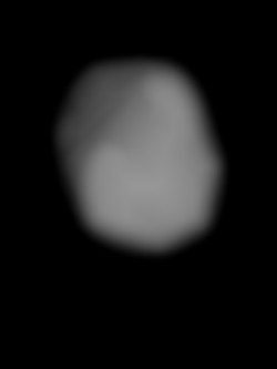Member Image