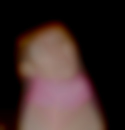 Member Image