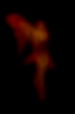 Member Image