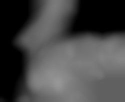 Member Image