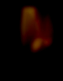 Member Image