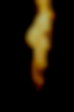 Member Image