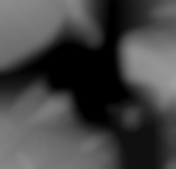 Member Image